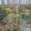 위시티로 이미지