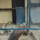 대건빌딩 개방화장실 | 달성공원 새벽시장-활기차고 신명난 분위기의 대구명소 일요일 방문후기