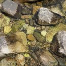 리버 STAY 이미지