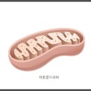 (주)피코엔텍 이미지