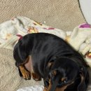 대호치과재료 | 🍀8월의 끝자락🥵