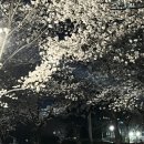 마장동고기집 진량점 이미지