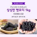 푸드윈 이미지