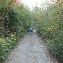 회남재길 이미지