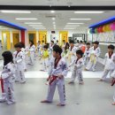 용인대 청당 태권도 이미지