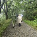 조용필의 ＜간양록＞을 읊조리며 안개 자욱한 금성산성을 걸었다. 이미지