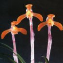 (주)금화 이미지