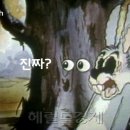 (주)올레커뮤니케이션 - 동작구 상도동 | (주)올레커뮤니케이션