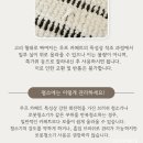 11545-10-13-34 | 랜선집들이 오늘의집 카페트 추천 드파인 러그 하이랜드 루프 사이잘룩 34평 내돈내산 후기🪴