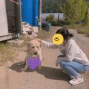 하묘농장 이미지