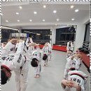 용인대멋진태권도 이미지