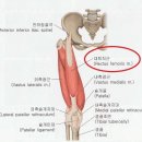 PT특별관 이미지