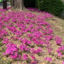 서동생활공원 이미지