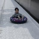 솜팡 이미지