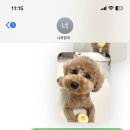 너와함개 이미지