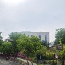 연필드로잉 | 전주도서관여행 반일코스 책연필코스 토요일 후기 전주시립도서관꽃심 첫마중길 여행자도서관 북스...