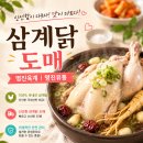 명진육계 네이버블로그
