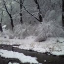 겨울나그네 이미지