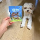 간식줄까? | 뽀뽀백번 하트터키츄 강아지 오래먹는 국내간식 수제간식 후기