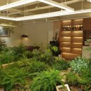 오스테리아 다니 이미지