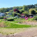 대청호오백리길 두메마을길 이미지