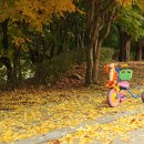 백봉초등학교 이미지