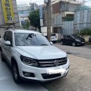 수컷웅샵 이미지