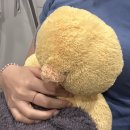 르메디크의원 이미지