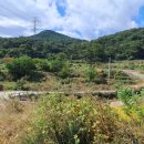 무정면사무소 이미지