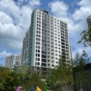 분당판교-D-3 이미지