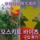 제일농약종묘사 | 뿌리파리 원인, 뿌리파리 퇴치제_모스키토 바이츠 구입