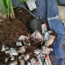 e원플란트치과의원 이미지