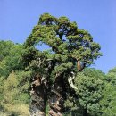 (주)호승