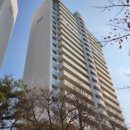 분당-215 이미지