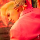 더 위너 팀
