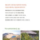 한국신명나라 새책 조동일 외 2인 『신화의 섬 제주문화 찾아가기』(2025.3.) 출간: 제주 총론, 문학 유물 유적 음식 이미지