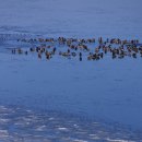 안면도바다풍경 이미지