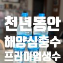 동안 | 🌊 강원 고성 심해 605m에서 온 프리미엄 해양심층수 ‘천년동안’ 체험 후기