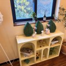 멜로브 | 고성 멜로브 카페 후기 ! 오션뷰·2층 식물 인테리어가 매력적인 곳