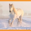 재활나라 이미지