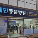 강남동물병원 이미지