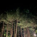 강림초 월현분교장 이미지