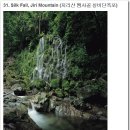 엔돌핀 이미지