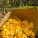 탈모야안녕 이미지