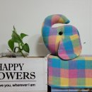 방카센타 이미지