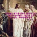 ⛪️연중 제26주일 이미지