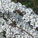 목골농장 이미지