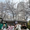 선강태권도장 이미지