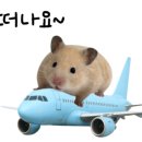 솔솔민박 이미지