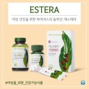 에스테라 이미지